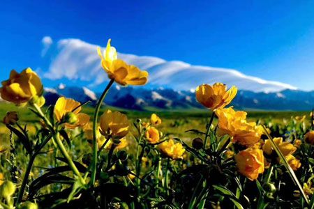 行攝伊犁：喀拉峻、天鵝湖、沙漠胡楊深度9日